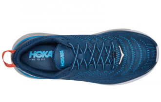 Arahi 4 &lsquo;Bleu Majolique Bleu de Dresde&rsquo;