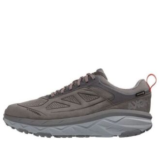 Challenger Low Gore-Tex « Gris anthracite Fiesta »