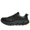 Clifton L &lsquo;Black Gum&rsquo;