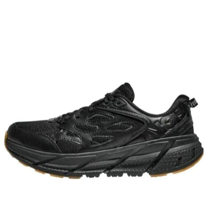 Clifton L &lsquo;Black Gum&rsquo;