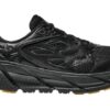 Clifton L &lsquo;Black Gum&rsquo;