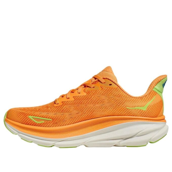 Laitue « Solar Flare » de Clifton 9 2E