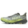 Speedgoat 6 GTX &lsquo;Ardoise Aloe Vera&rsquo;