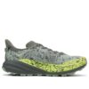 Speedgoat 6 GTX &lsquo;Ardoise Aloe Vera&rsquo;