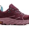 (WMNS) Anacapa Low GTX &lsquo;Grape Wine Elderberry&rsquo;