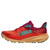 (WMNS) Challenger ATR 7 « Flame Cherries Jubilee »