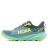 (WMNS) Challenger ATR 7 GTX « Trellis Balsam Green »
