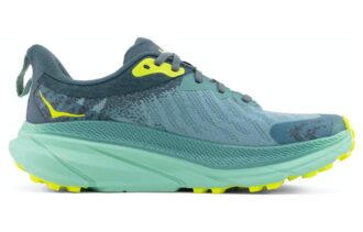 (WMNS) Challenger ATR 7 GTX « Trellis Balsam Green »