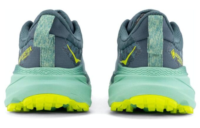 (WMNS) Challenger ATR 7 GTX « Trellis Balsam Green »